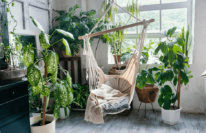 Migliori piante in camera da letto